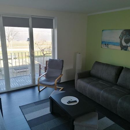 Apartman Terassa Donji Milanovac Esterno foto