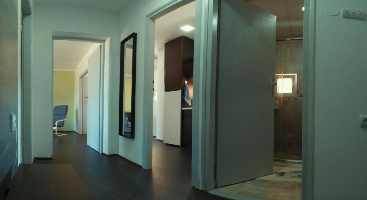 Apartman Terassa Donji Milanovac Esterno foto