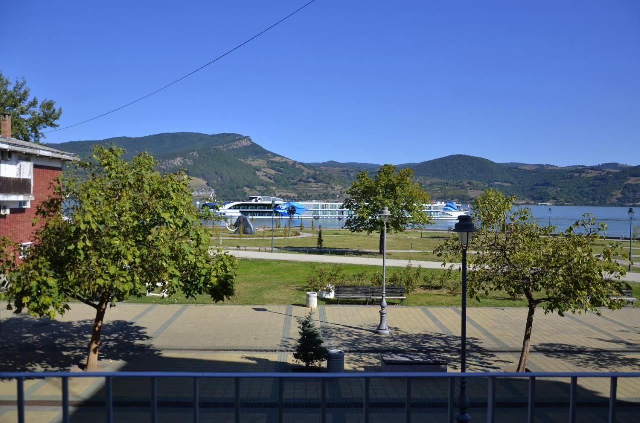 Apartman Terassa Donji Milanovac Esterno foto