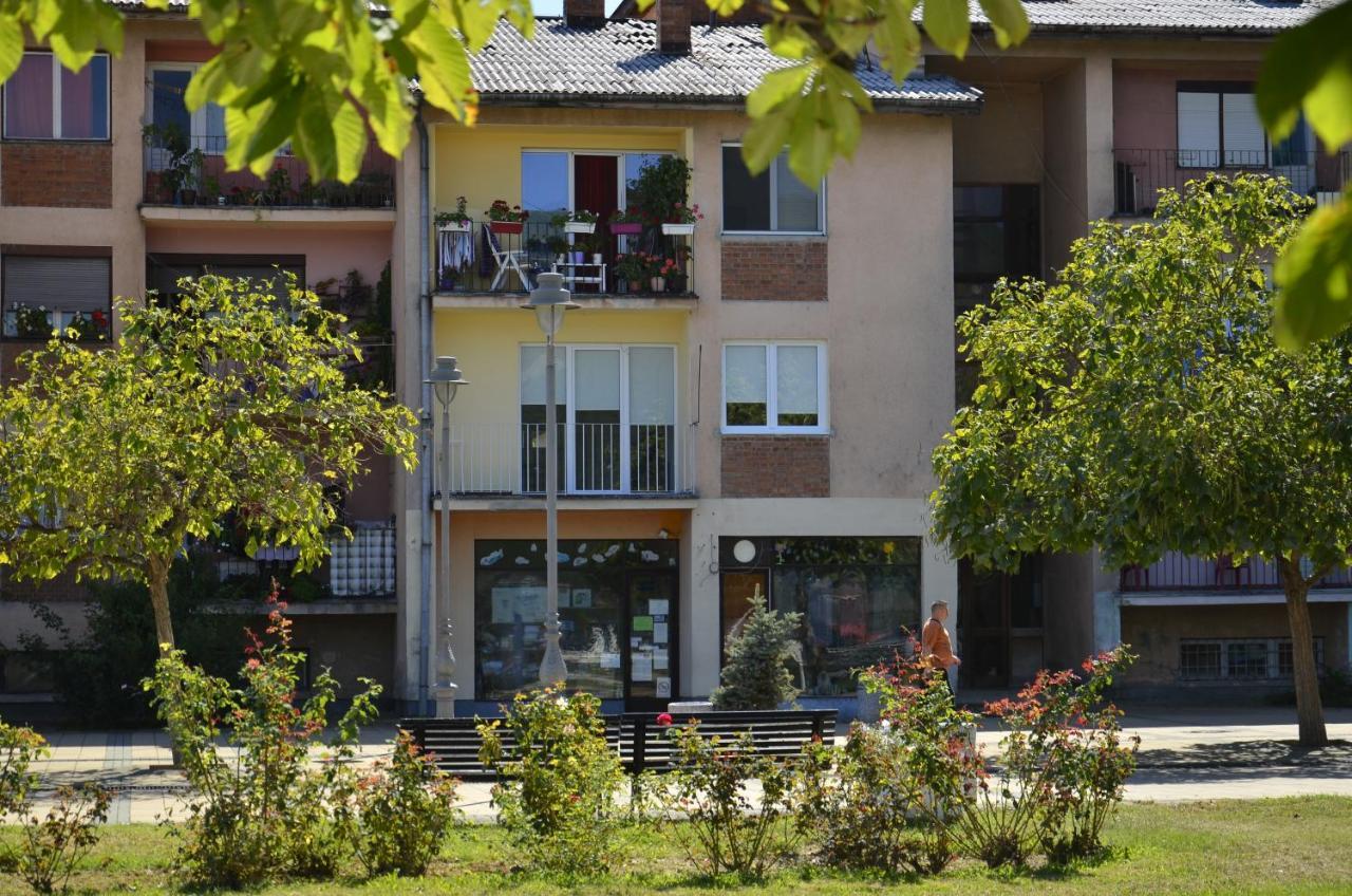 Apartman Terassa Donji Milanovac Esterno foto