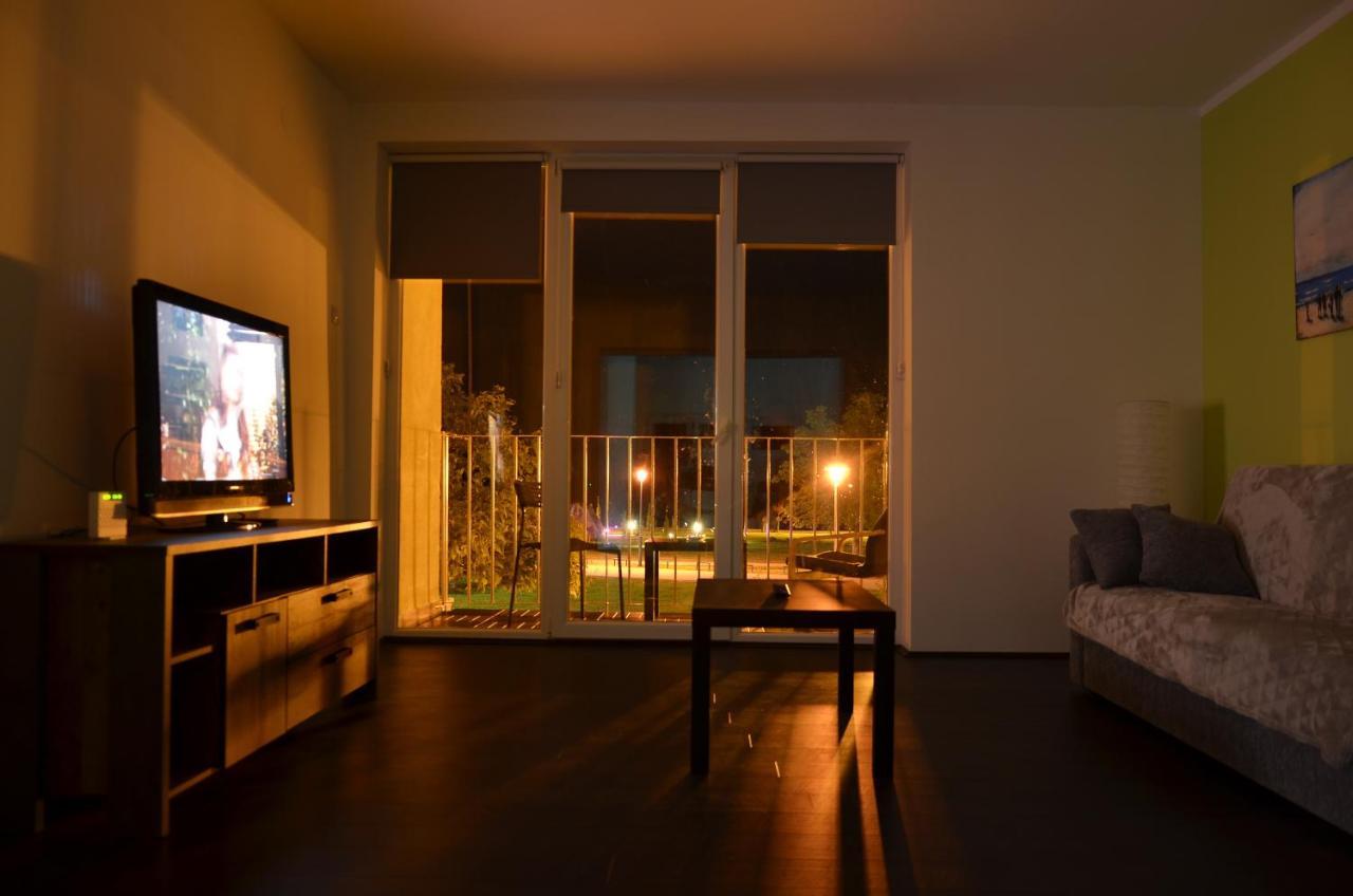 Apartman Terassa Donji Milanovac Esterno foto