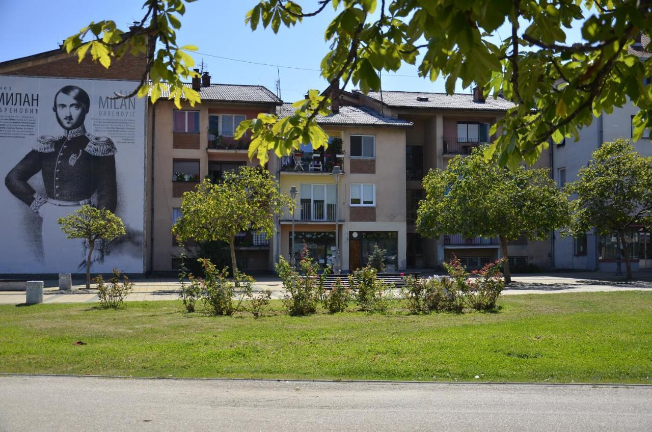 Apartman Terassa Donji Milanovac Esterno foto
