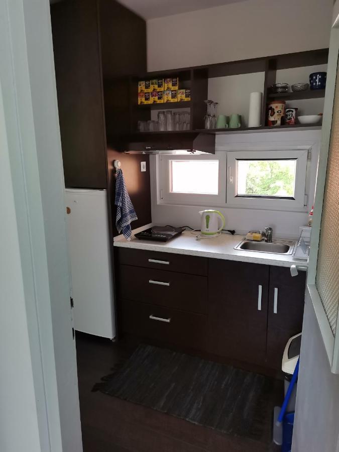 Apartman Terassa Donji Milanovac Esterno foto