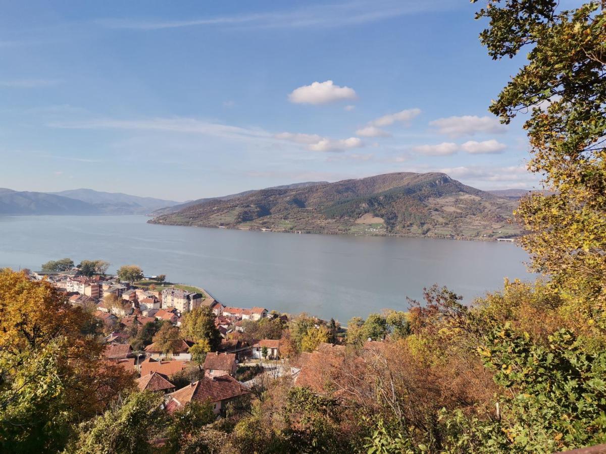Apartman Terassa Donji Milanovac Esterno foto