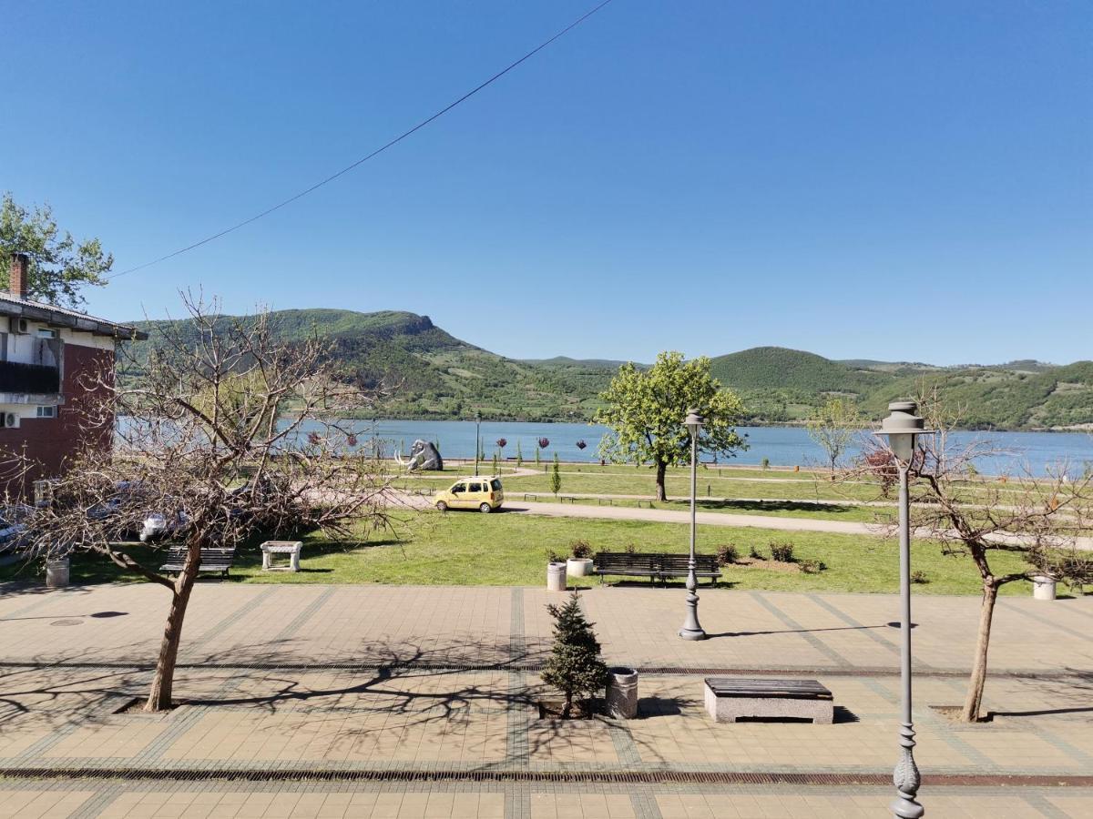 Apartman Terassa Donji Milanovac Esterno foto