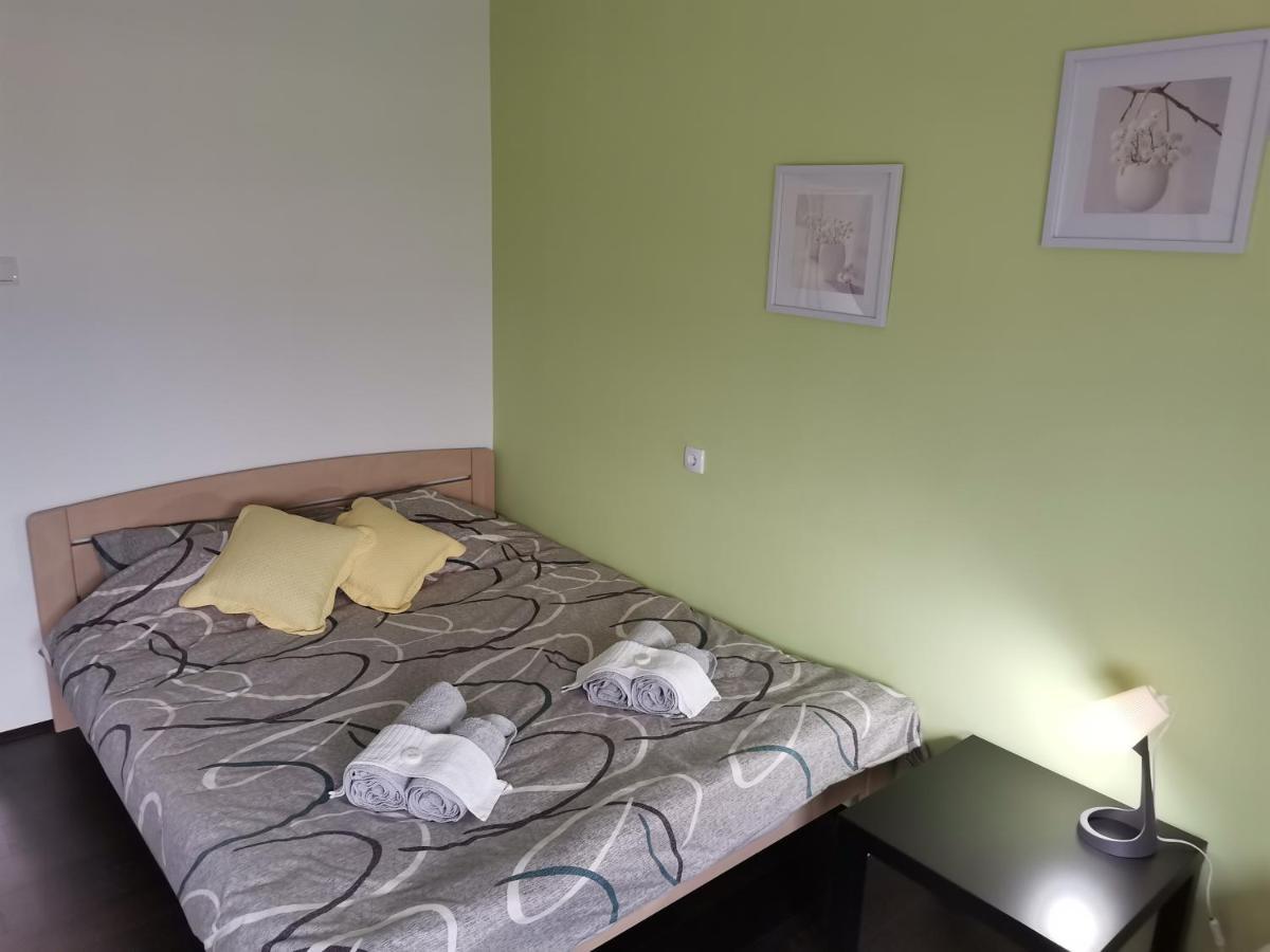 Apartman Terassa Donji Milanovac Esterno foto