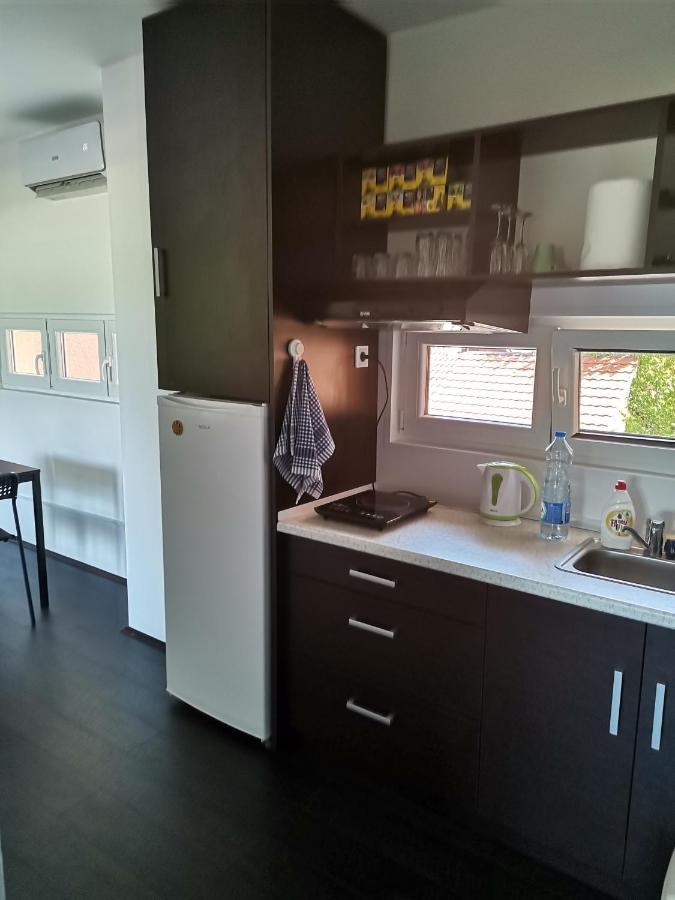 Apartman Terassa Donji Milanovac Esterno foto