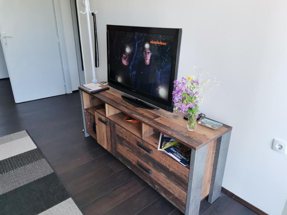 Apartman Terassa Donji Milanovac Esterno foto