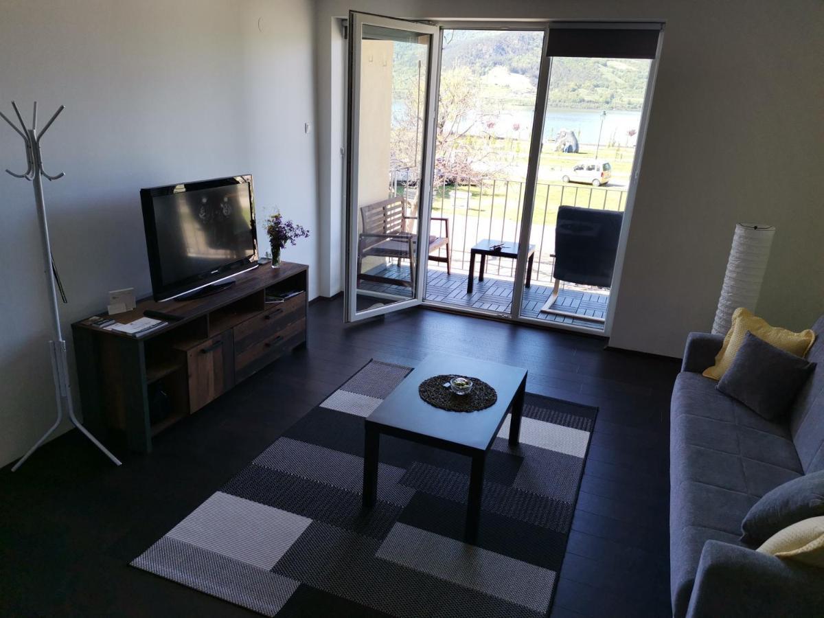 Apartman Terassa Donji Milanovac Esterno foto