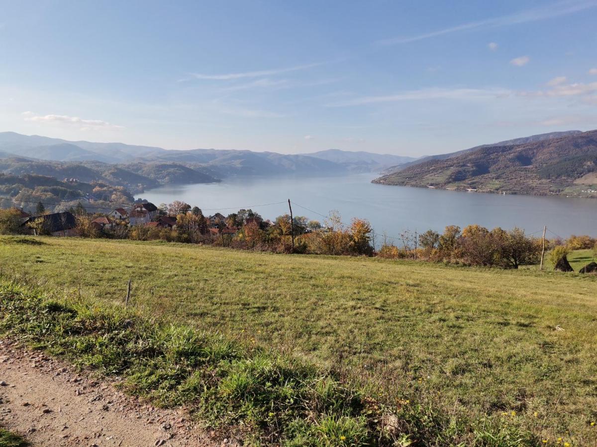 Apartman Terassa Donji Milanovac Esterno foto