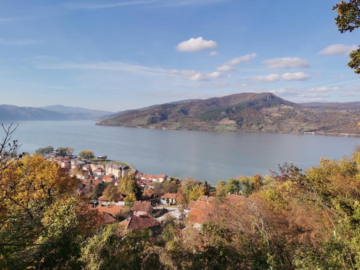 Apartman Terassa Donji Milanovac Esterno foto