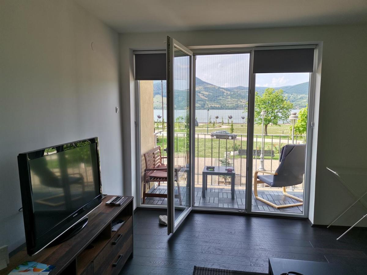 Apartman Terassa Donji Milanovac Esterno foto