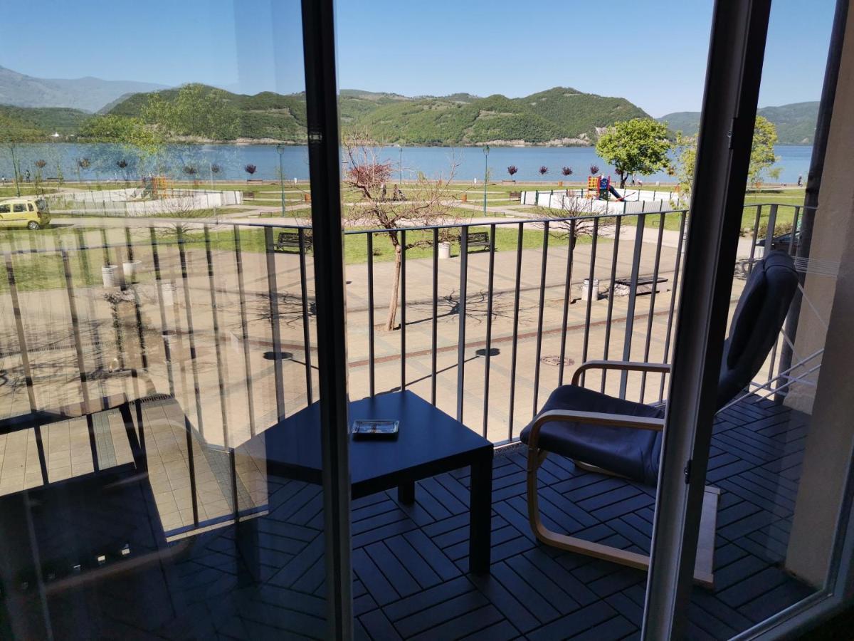 Apartman Terassa Donji Milanovac Esterno foto