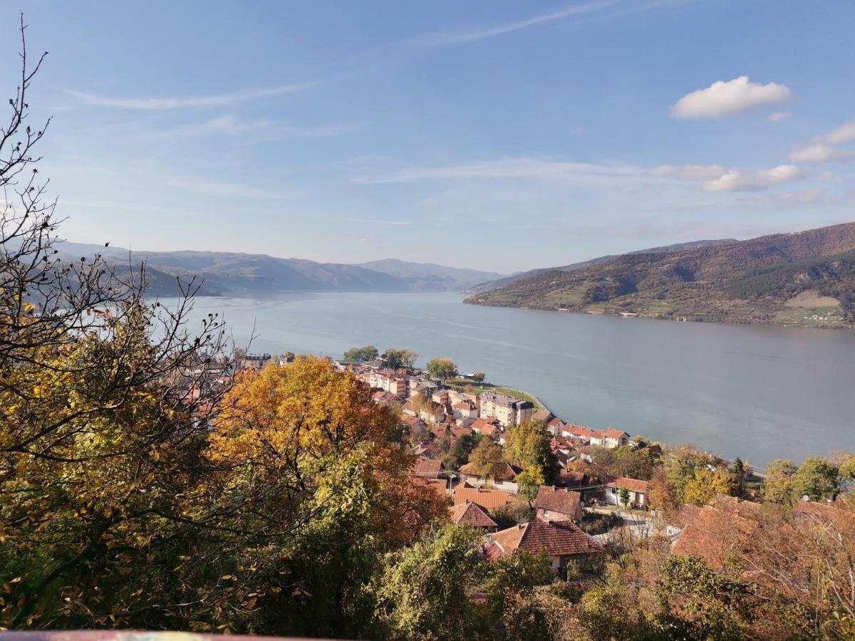 Apartman Terassa Donji Milanovac Esterno foto