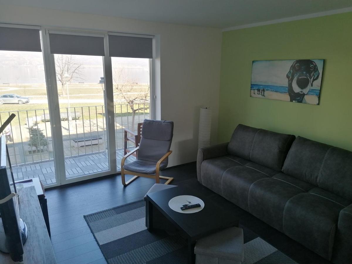 Apartman Terassa Donji Milanovac Esterno foto