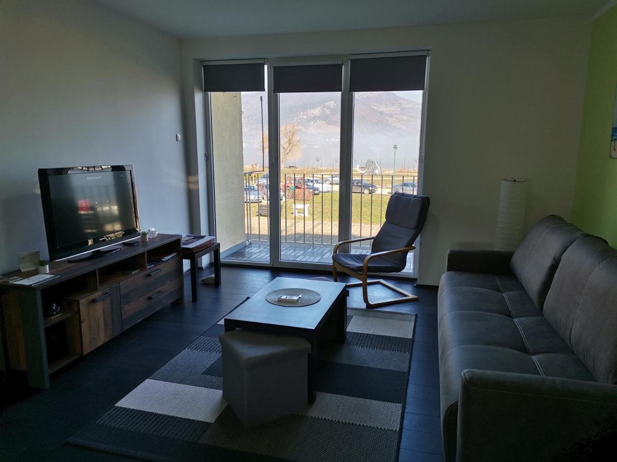 Apartman Terassa Donji Milanovac Esterno foto