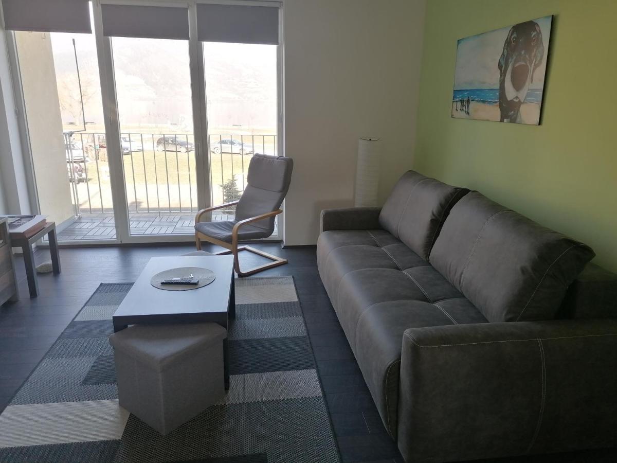 Apartman Terassa Donji Milanovac Esterno foto