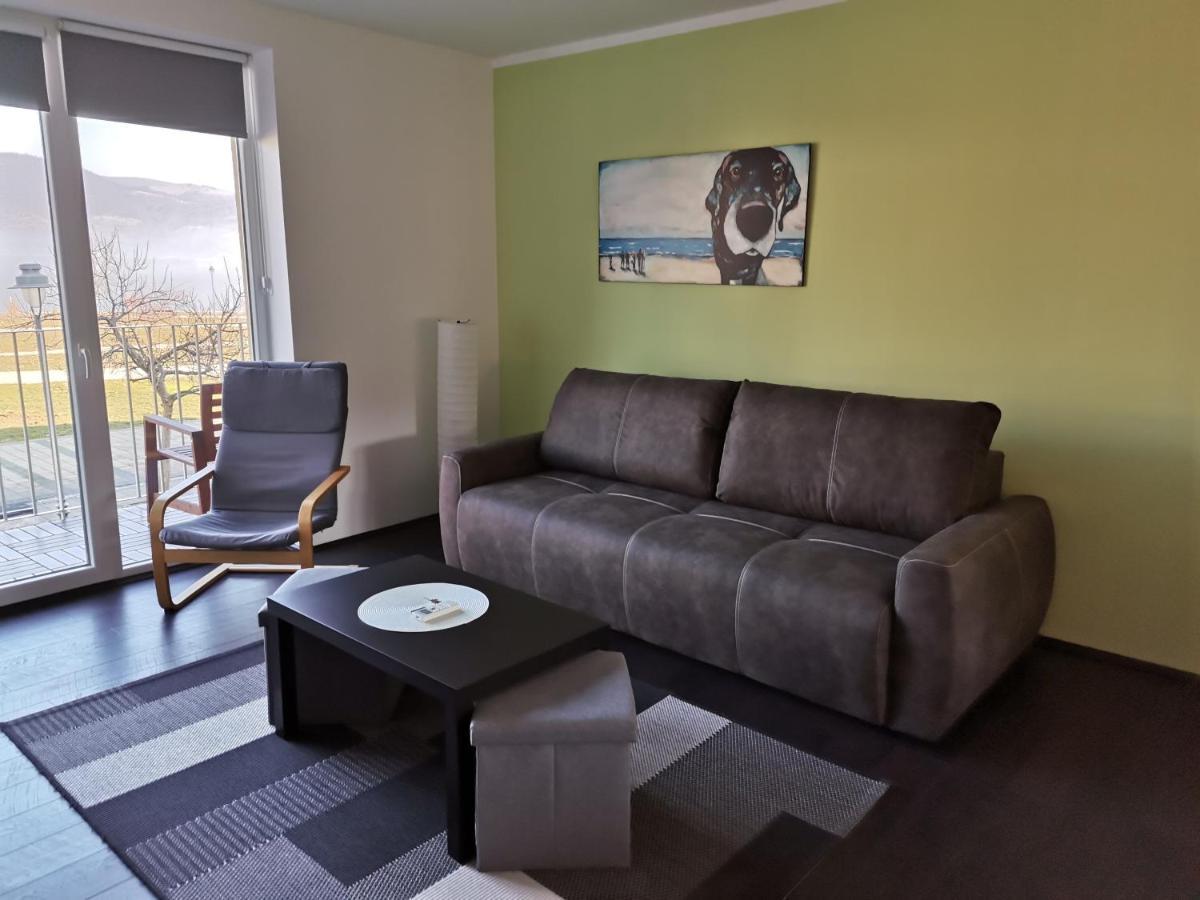 Apartman Terassa Donji Milanovac Esterno foto
