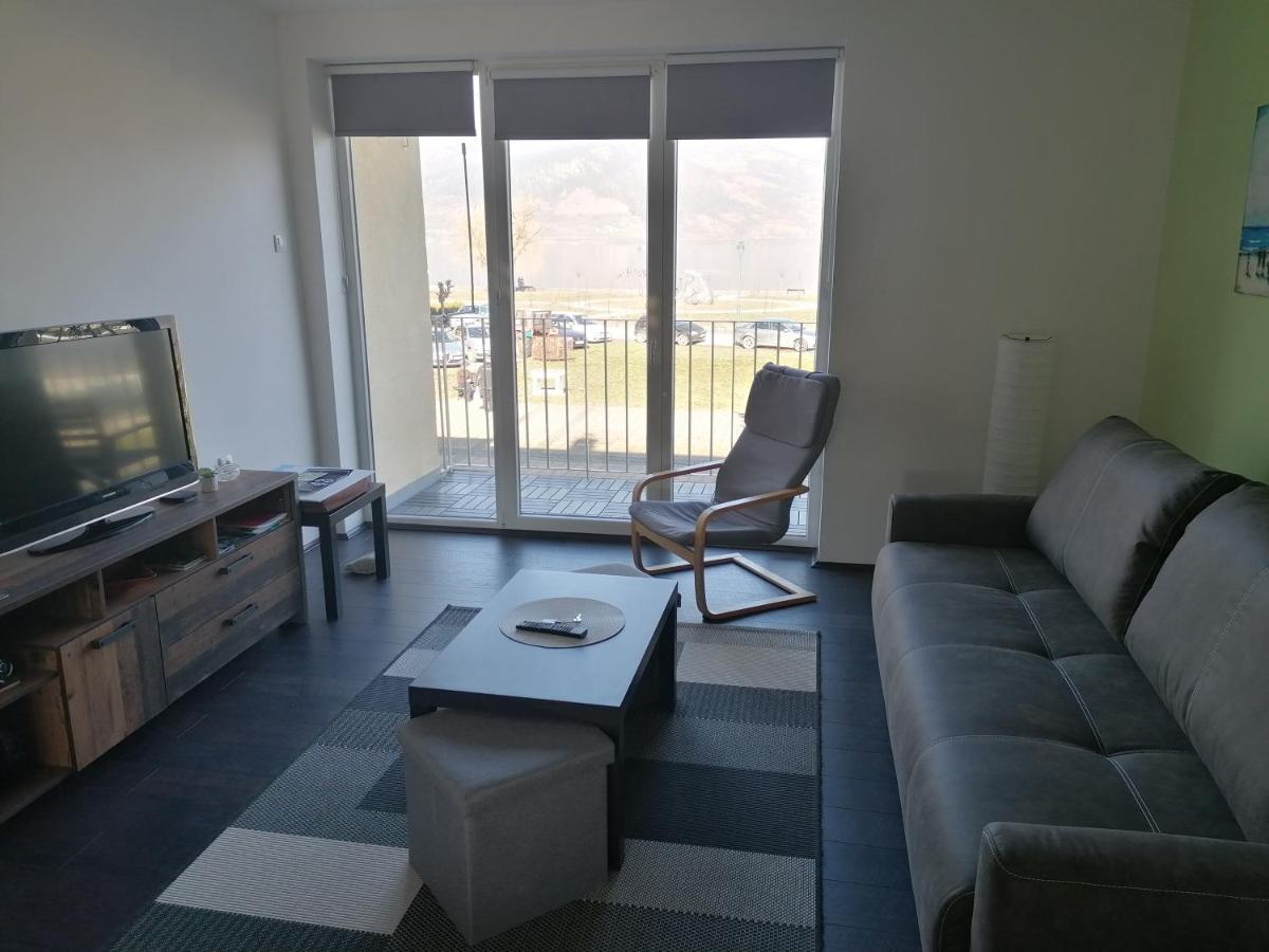 Apartman Terassa Donji Milanovac Esterno foto